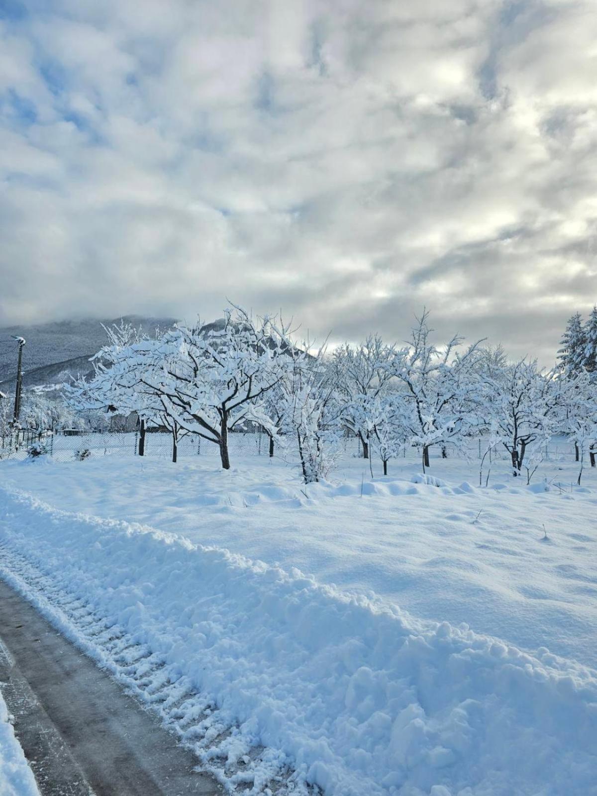 Konaci Oceva Zemlja Bungalovi Konaci Oceva Zemlja Vikendica Mojkovac Exterior foto